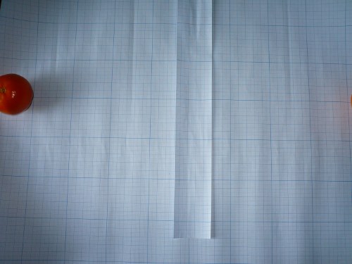 P1080641.JPG