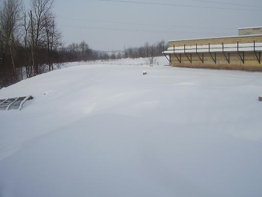Picture 004.jpg
