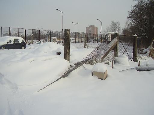 Picture 011.jpg