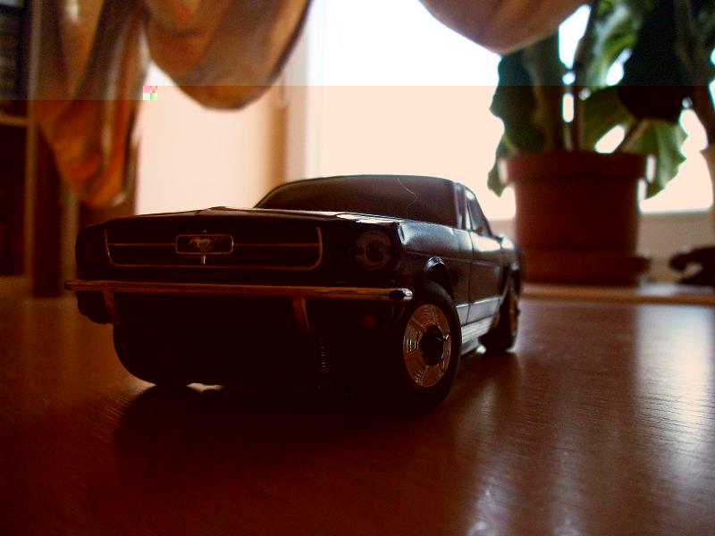 100_1976.jpg