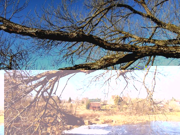 DSCN0005.JPG