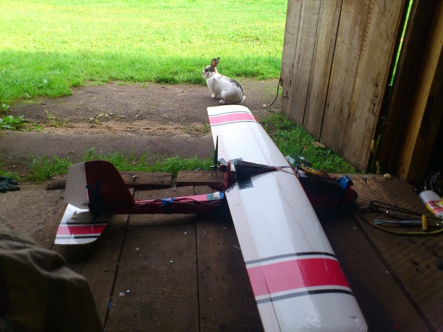 DSC_4348 (Small).JPG