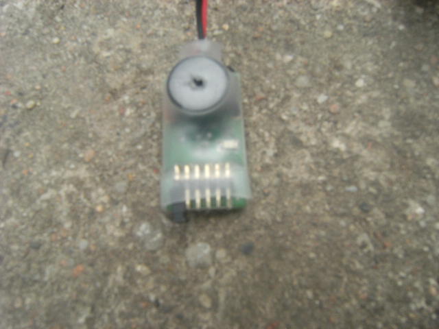 DSCF0731.JPG