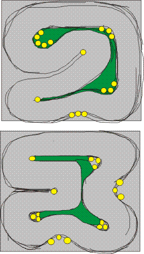 Graphic1.gif