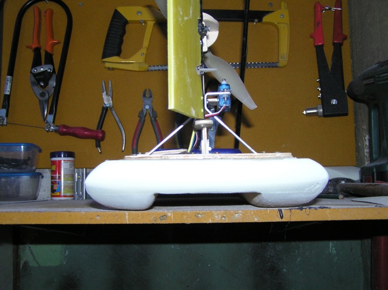 P8100003 (755 x 564).jpg