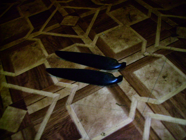 IMGP0039.JPG