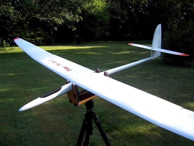Pike Perfect 002.jpg