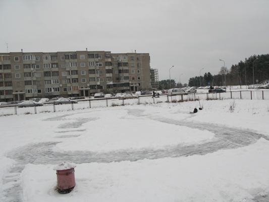 IMG_7349.jpg