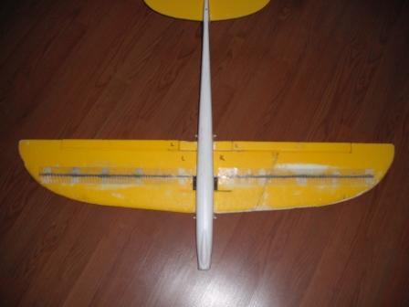 Sky Hawk 003.jpg